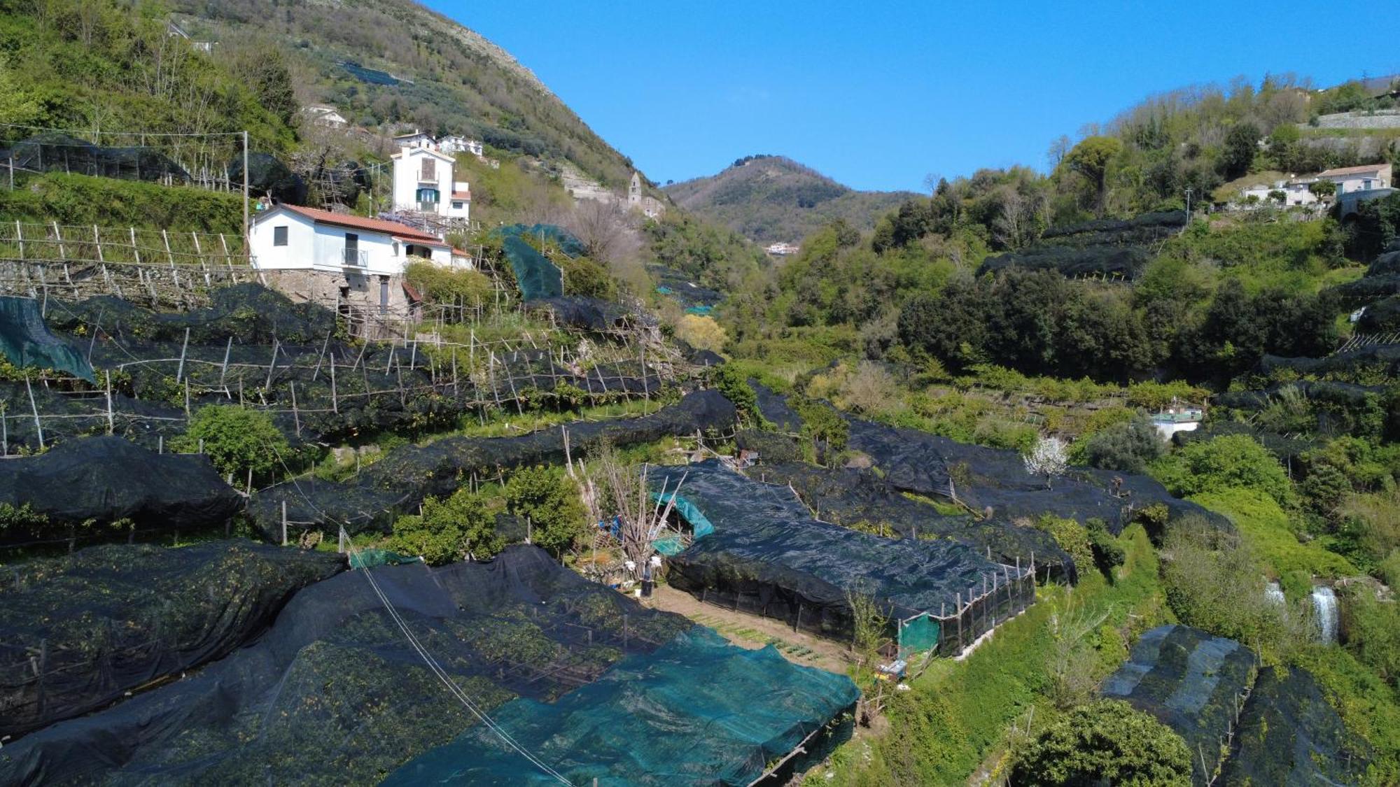 Antica Cartiera Sant'Elia Apartment ตรามอนติ ภายนอก รูปภาพ
